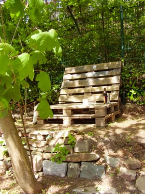 My morning in the Garden